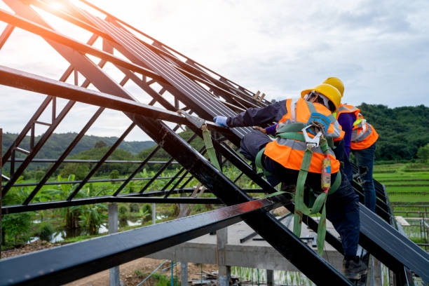 Best Gutter Installation and Roofing  in Fyffe, AL