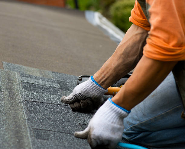 Roof Gutter Cleaning in Fyffe, AL